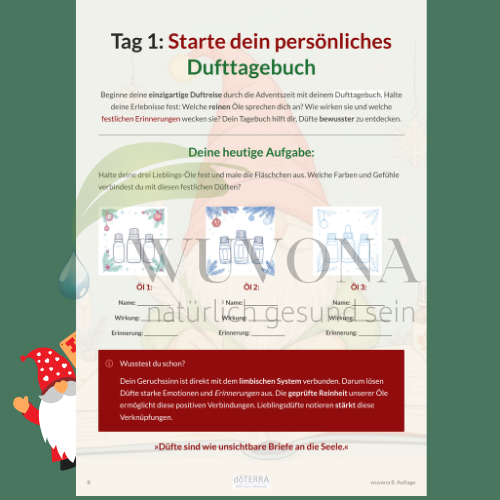 Adventsbegleiter Adventskalender 8. Auflage