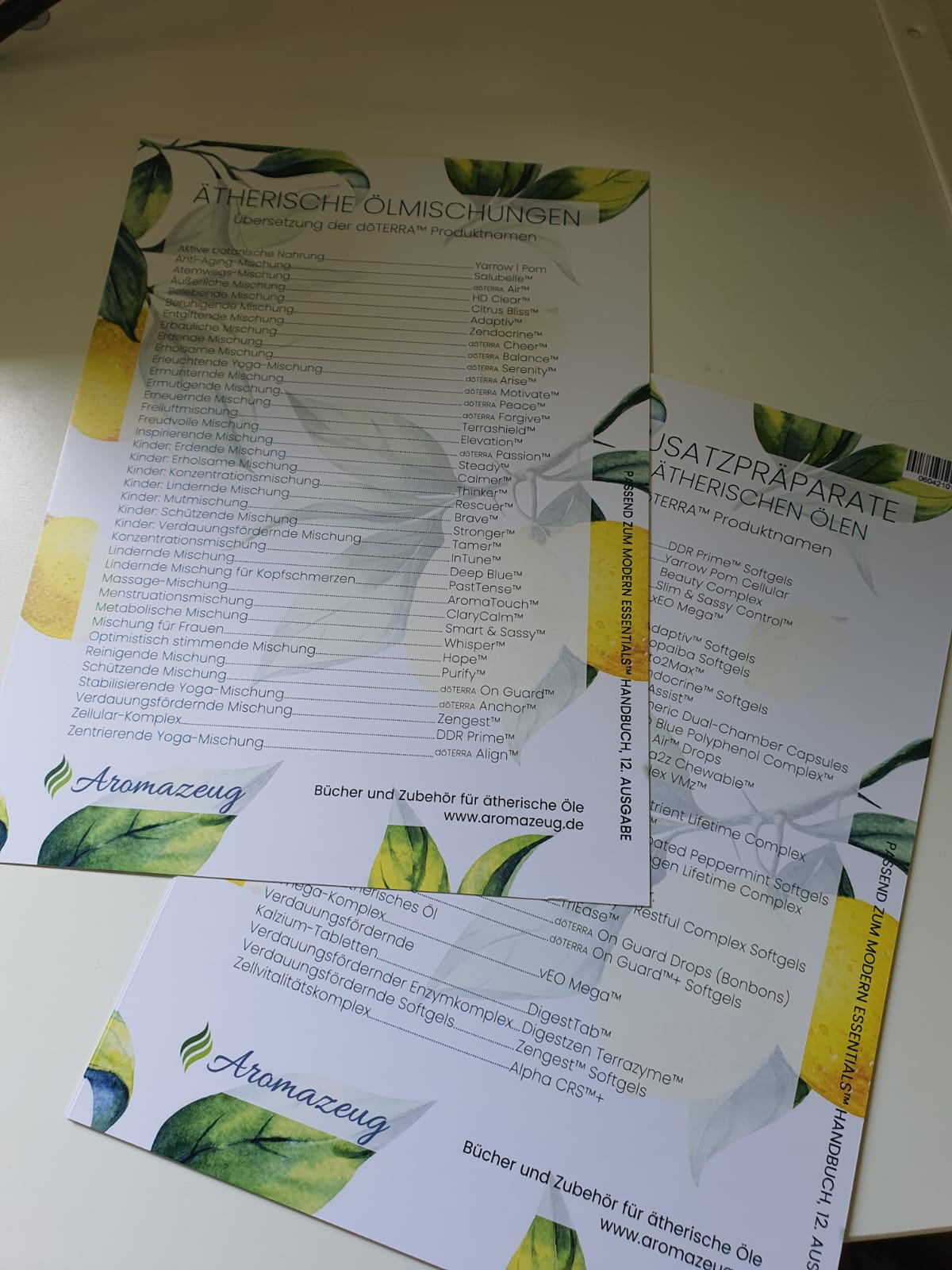 Modern Essential Handbuch 15. Auflage mit Erklärkarte