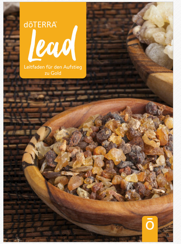 Train / Lead / Multiply Guide Leitfaden