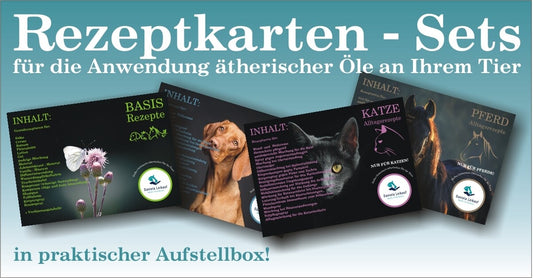 Tierkarten Rezepte im praktischen Aufsteller