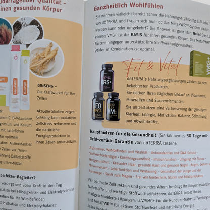 Die System METAPWR - Broschüre NEU